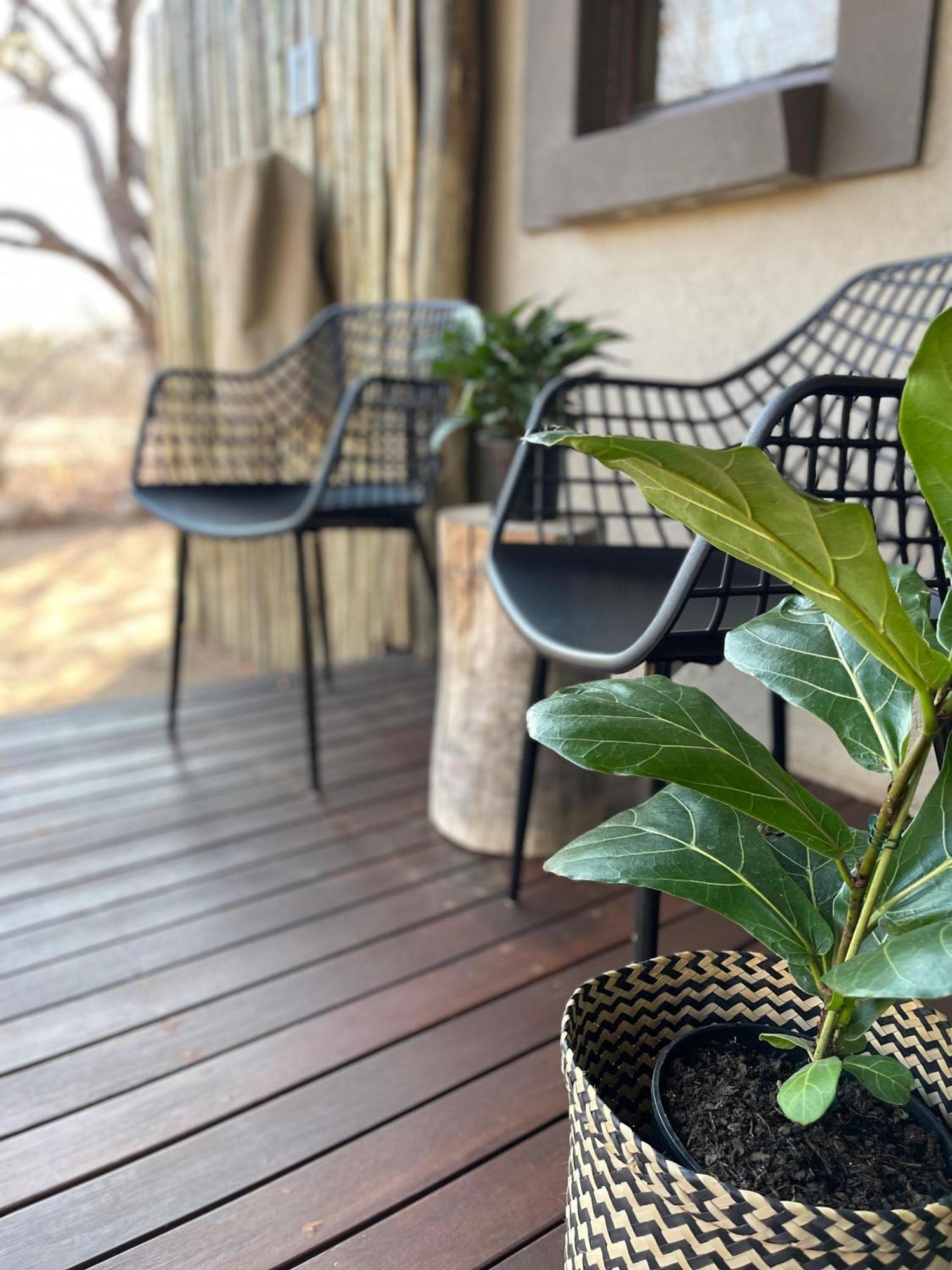 The Baobab Bush Lodge And Villa 侯斯普瑞特 外观 照片