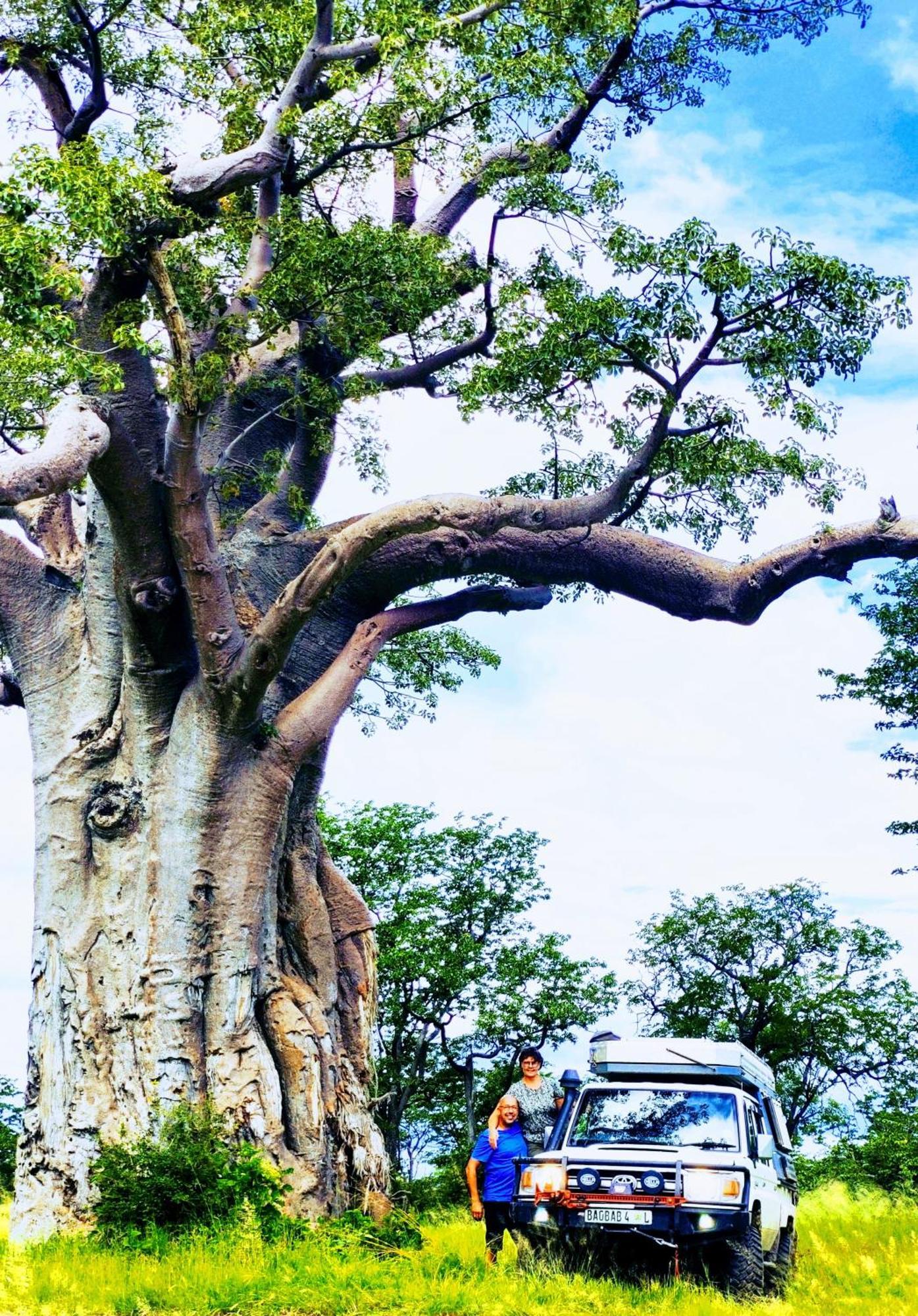 The Baobab Bush Lodge And Villa 侯斯普瑞特 外观 照片