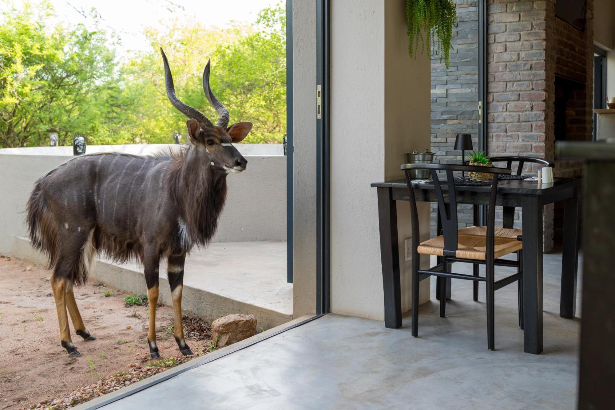 The Baobab Bush Lodge And Villa 侯斯普瑞特 外观 照片